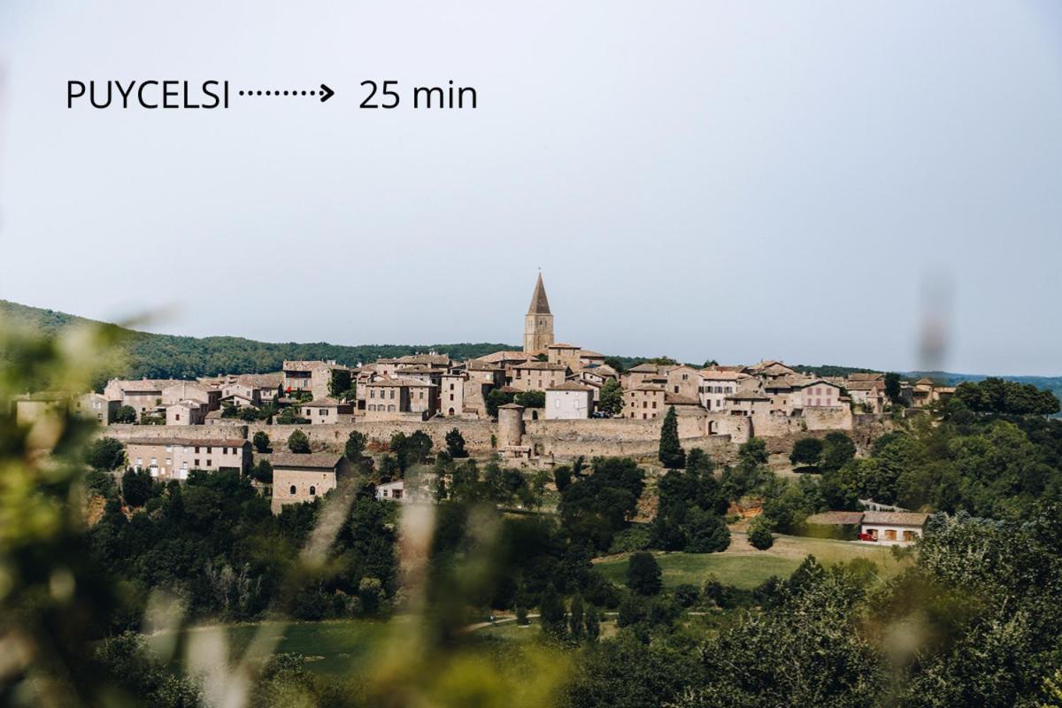 Jolie Maison - Calme - Jardin - Gaillac Esterno foto